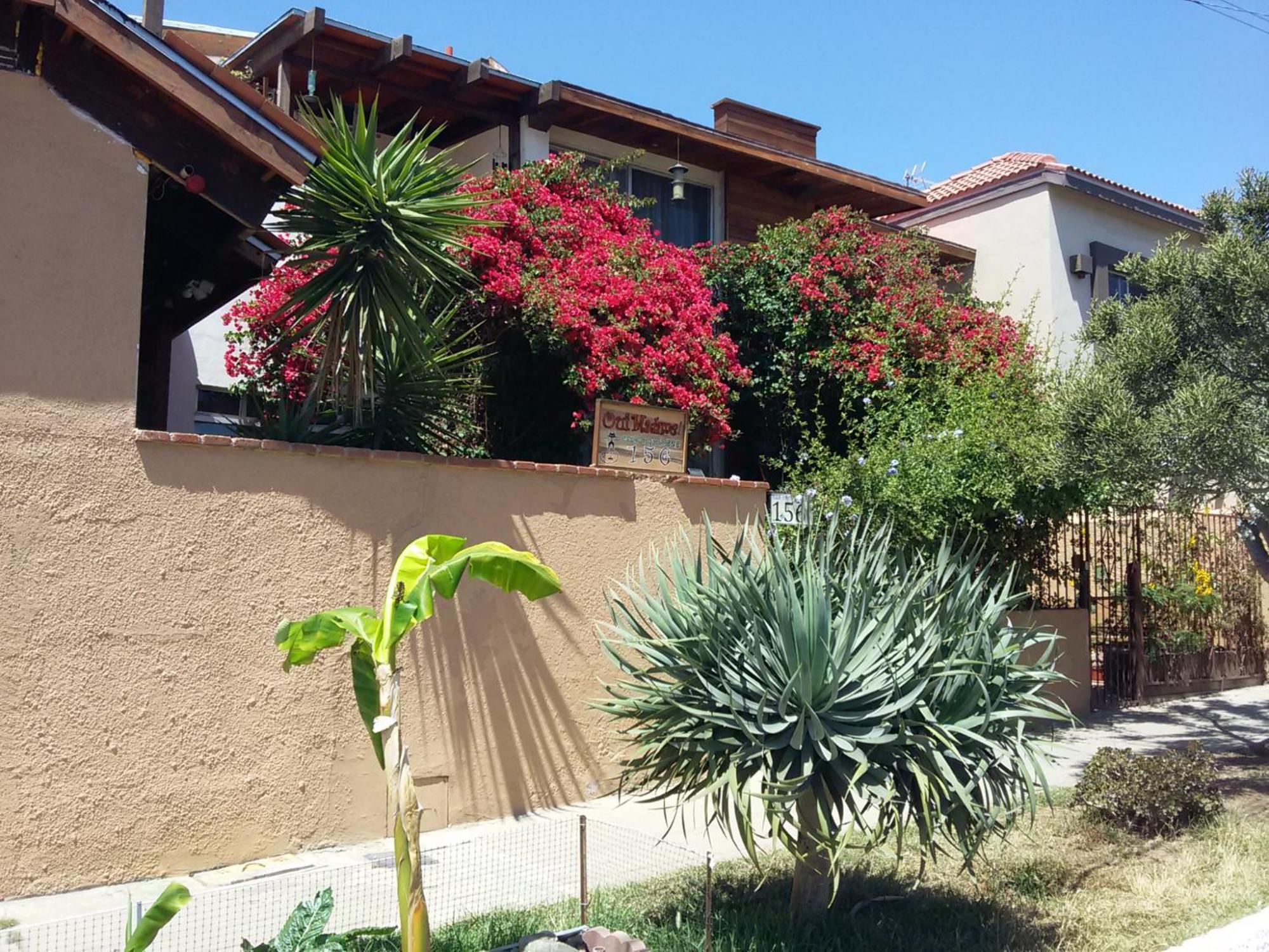 B&B Oui Madame Tijuana Kültér fotó