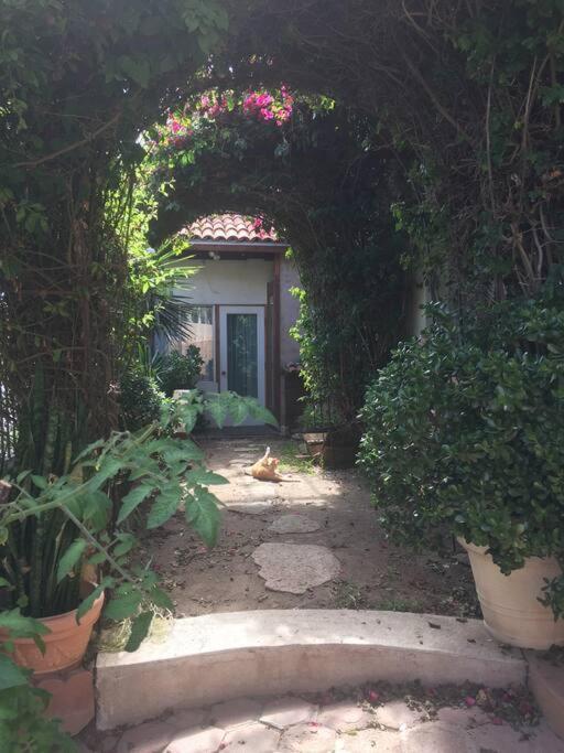 B&B Oui Madame Tijuana Szoba fotó