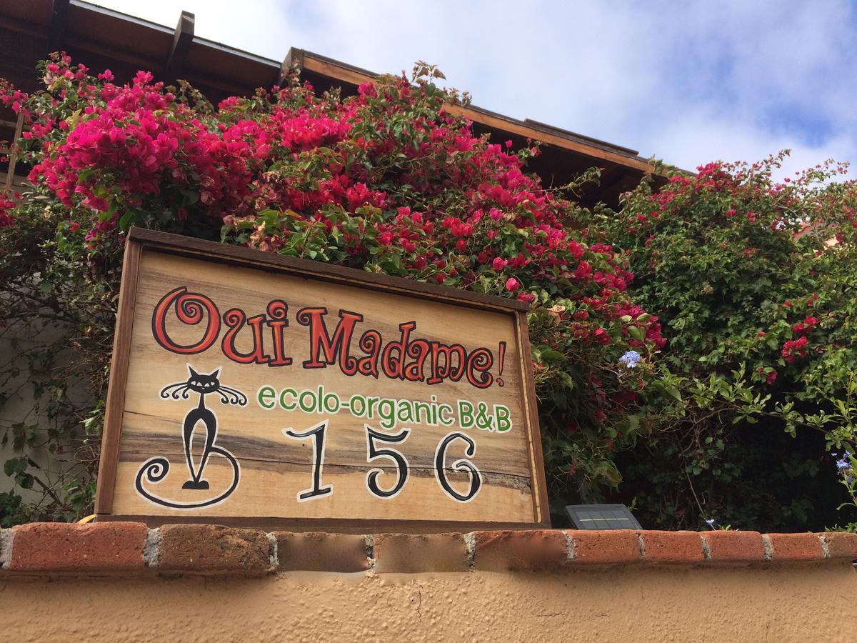 B&B Oui Madame Tijuana Kültér fotó